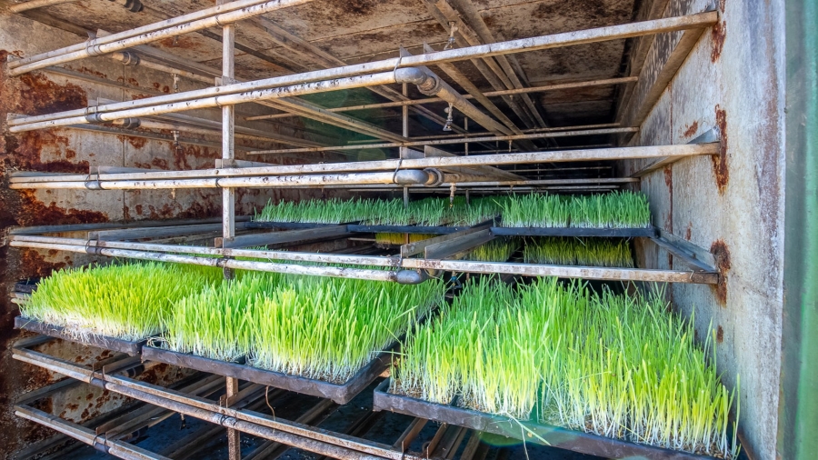 Commercial Property for Sale in Montagu Rural Western Cape
